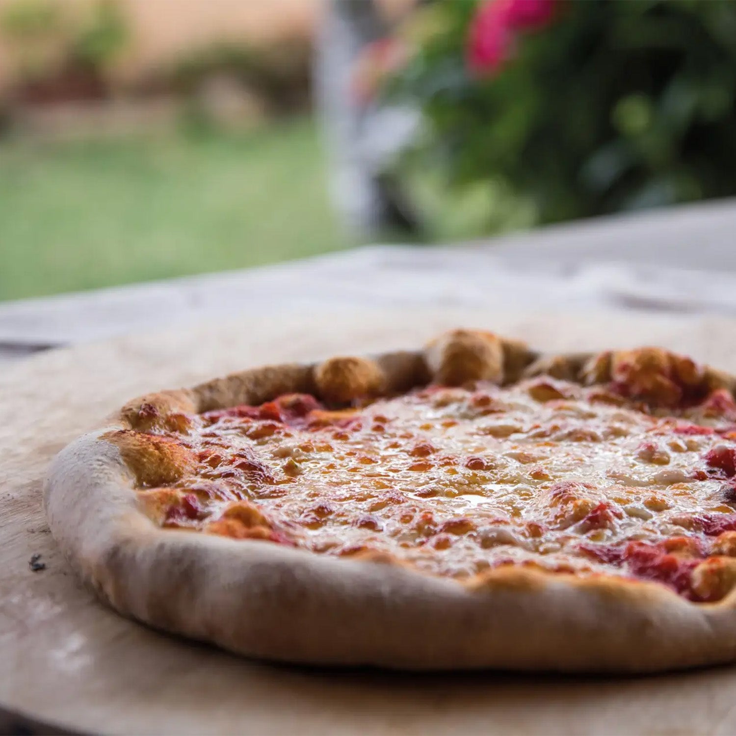 Brabura Fontana Maestro 60 Gas Countertop Pizza Oven