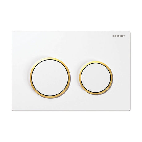 Geberit Omega20 Dual Flush Plate