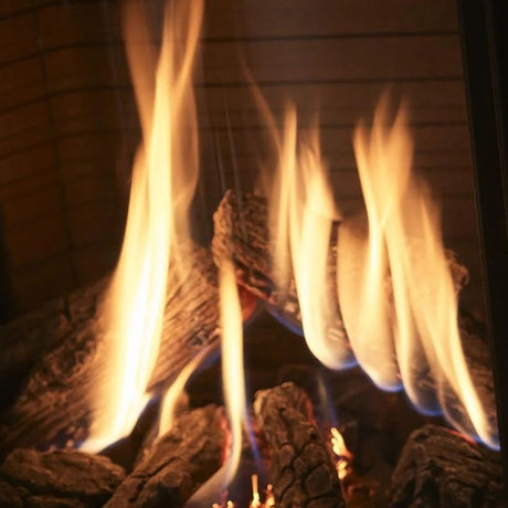 Rais Viva L 100 Gas Stove - Full Glass Door