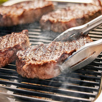 Weber Lumin Electric Barbecue with Stand