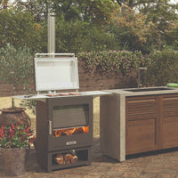 Dragonfly Hestia Heat and Cook Grill 50 Outdoor Wood Burning Stove