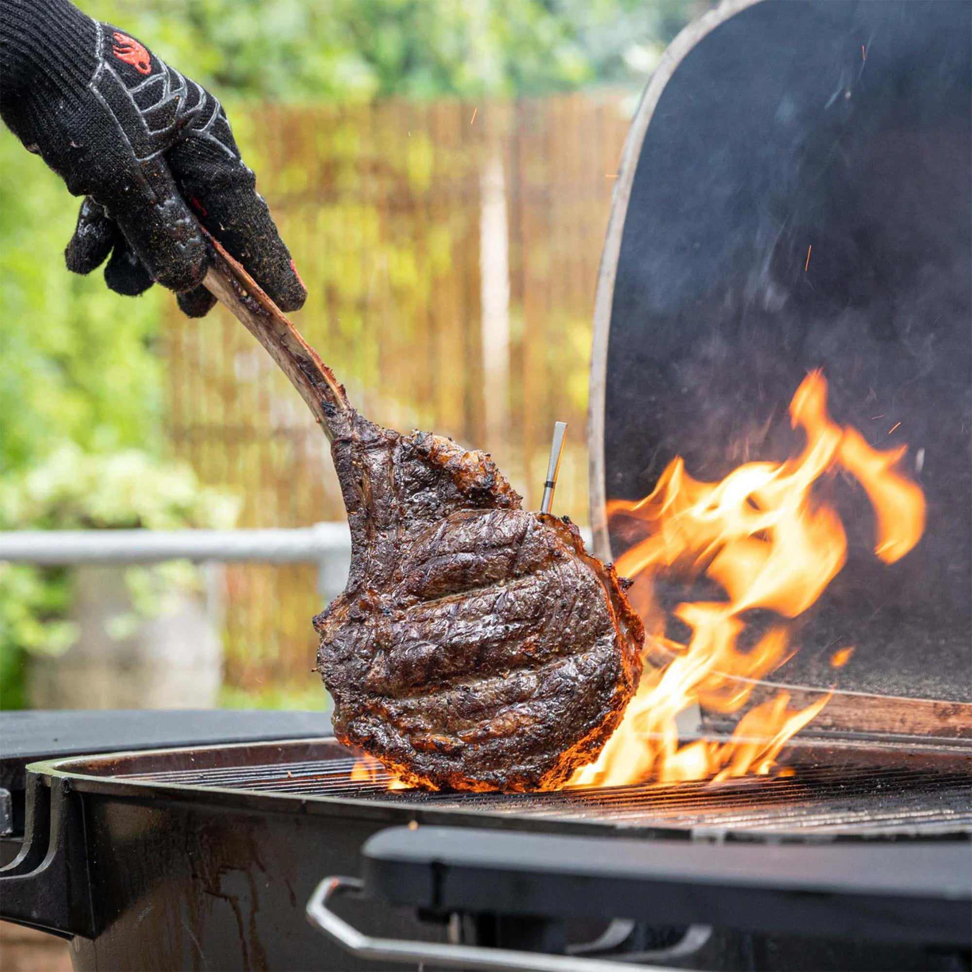 Meater Pro / 2 Plus Wireless Thermometer