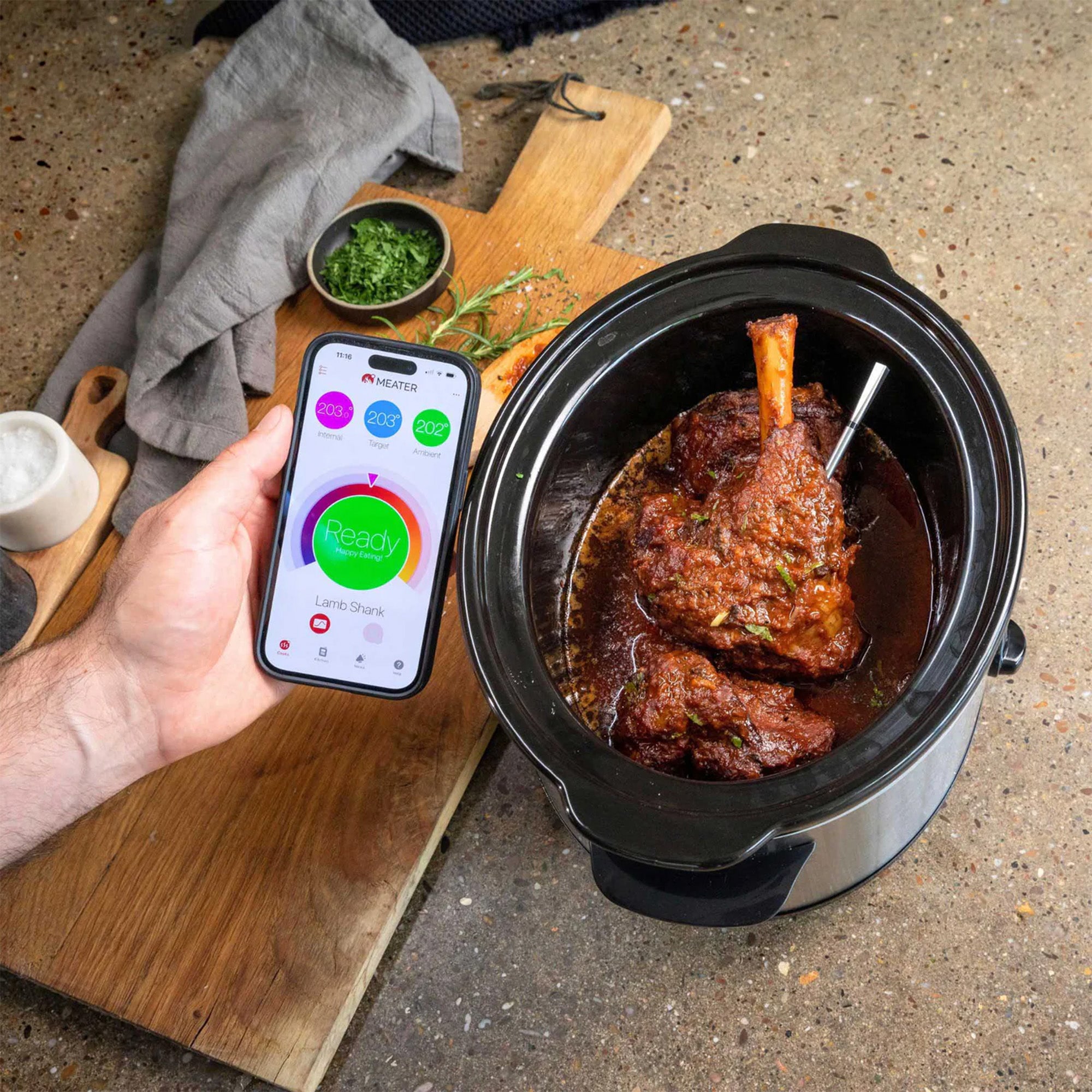 Meater Pro / 2 Plus Wireless Thermometer