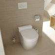 TOTO NC Back to Wall Toilet