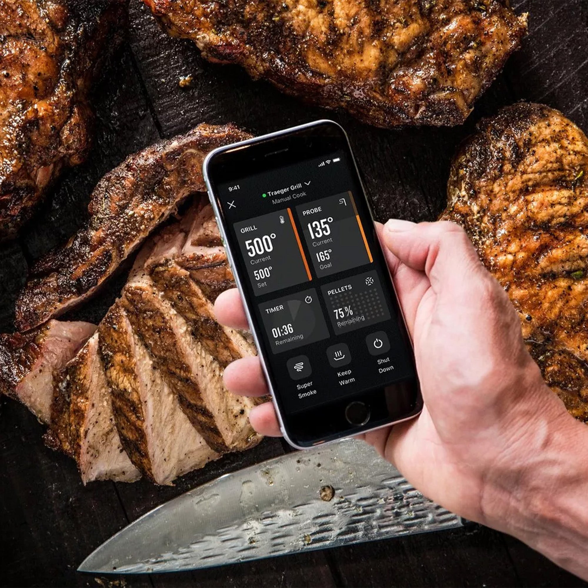 Traeger Pellet Sensor