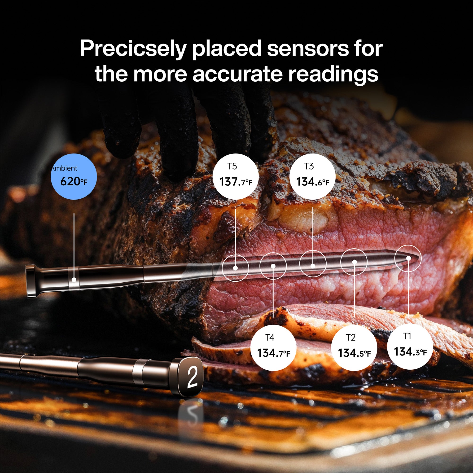 Typhur Sync Dual Wireless Thermometer with 2 Probes