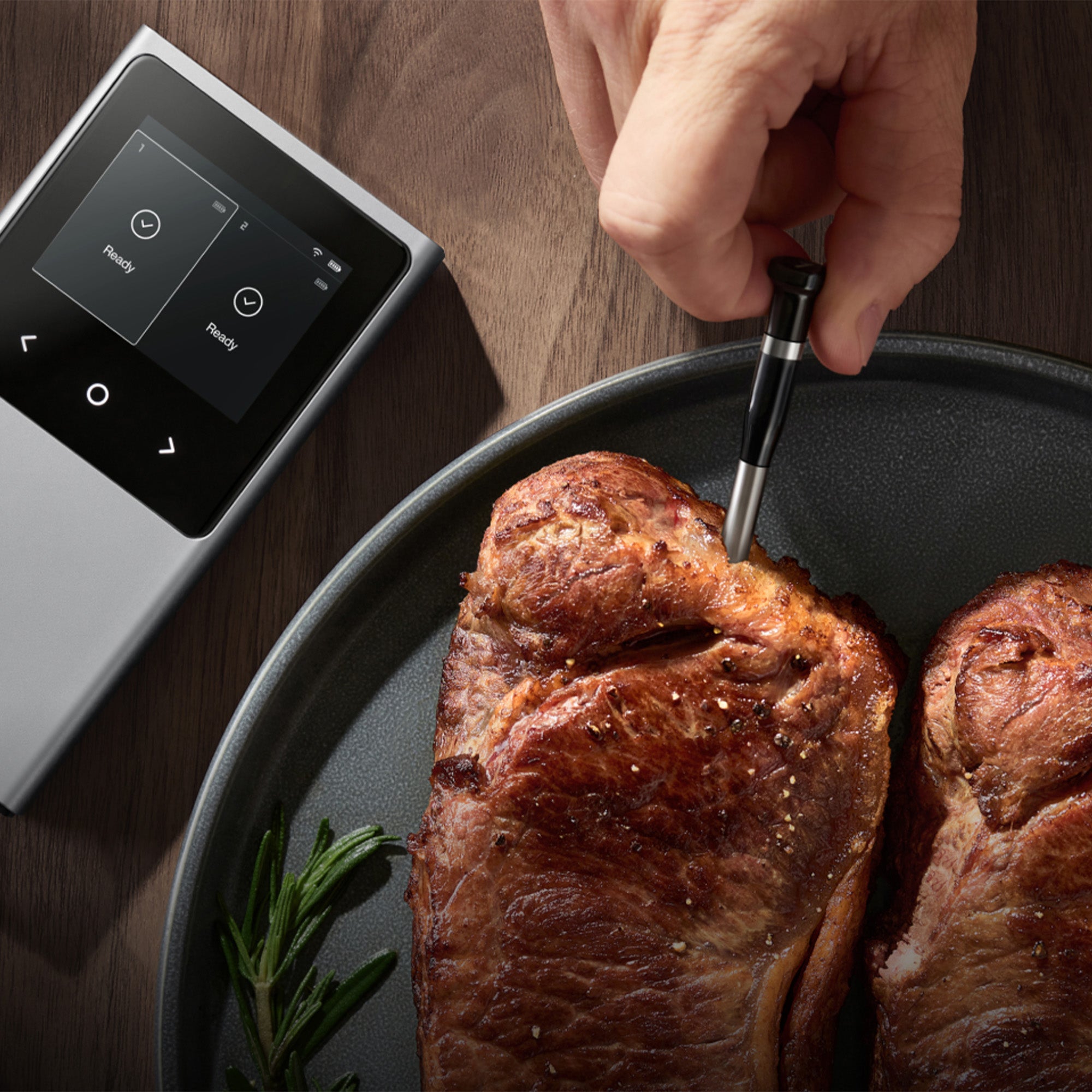 Typhur Sync Dual Wireless Thermometer with 2 Probes