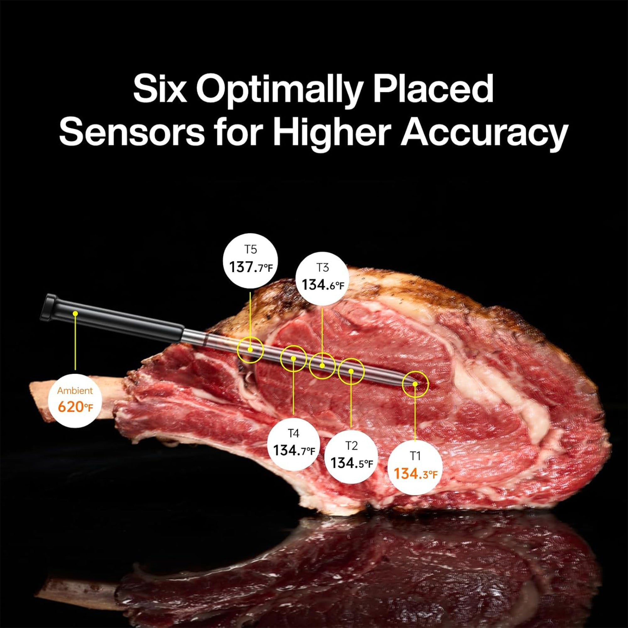 Typhur Sync Gold Lite Wireless Thermometer with 1 Probe