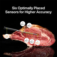 Typhur Sync Gold Lite Wireless Thermometer with 1 Probe