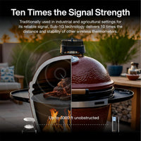 Typhur Sync Gold Lite Wireless Thermometer with 1 Probe