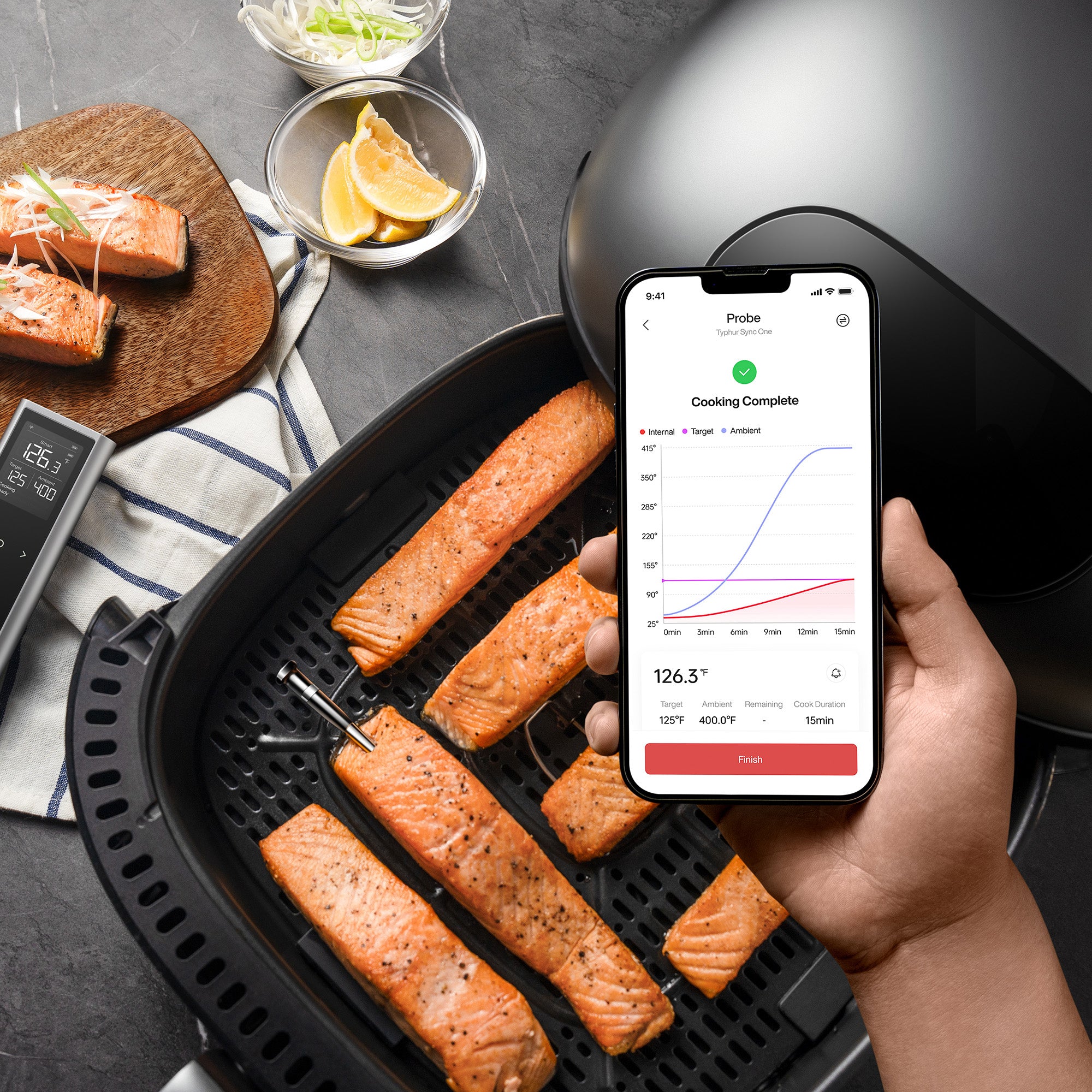 Typhur Sync One Wireless Thermometer with 1 Probe