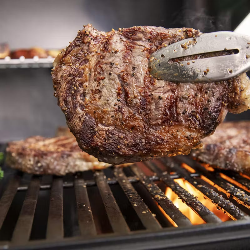 Genesis E-315 BBQ 1500387